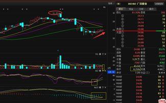 广田股份爆料信息最新,揭秘公司战略布局与市场动向 第1张 广田股份爆料信息最新,揭秘公司战略布局与市场动向 第1张